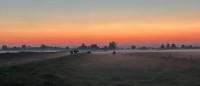 IMG_6689a.jpeg