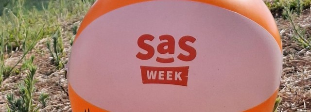 SASbal-2.jpeg